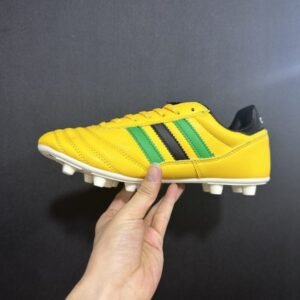 Copa