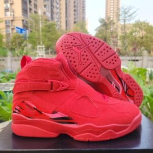 Air Jordan 8