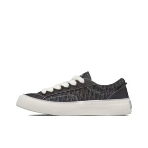 Dior B33