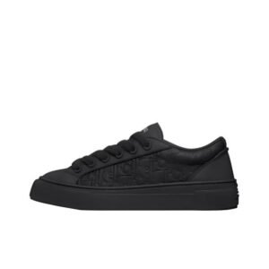 Dior B33