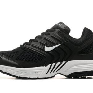 Air Pegasus 2K5