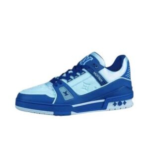 Louis Vuitton shoes