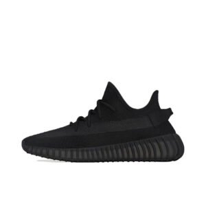 Adidas Yeezy Boost 350