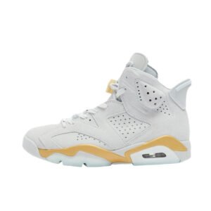 Nike Air Jordan 6