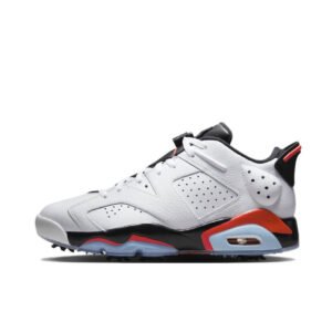 Nike Air Jordan 6