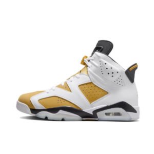 Nike Air Jordan 6